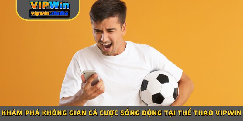 Khám phá không gian cá cược sống động tại thể thao Vipwin Khám phá không gian cá cược sống động tại thể thao Vipwin