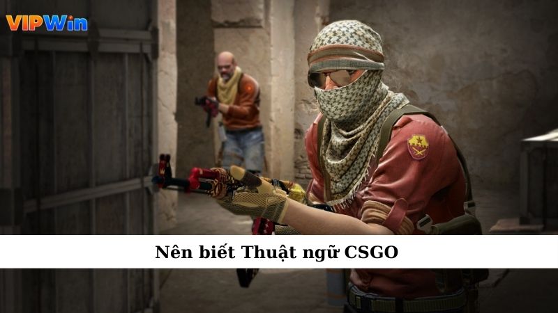 Thuật Ngữ CSGO Và Tầm Quan Trọng Trong Thế Giới Game 5 Nên biết Thuật ngữ CSGO