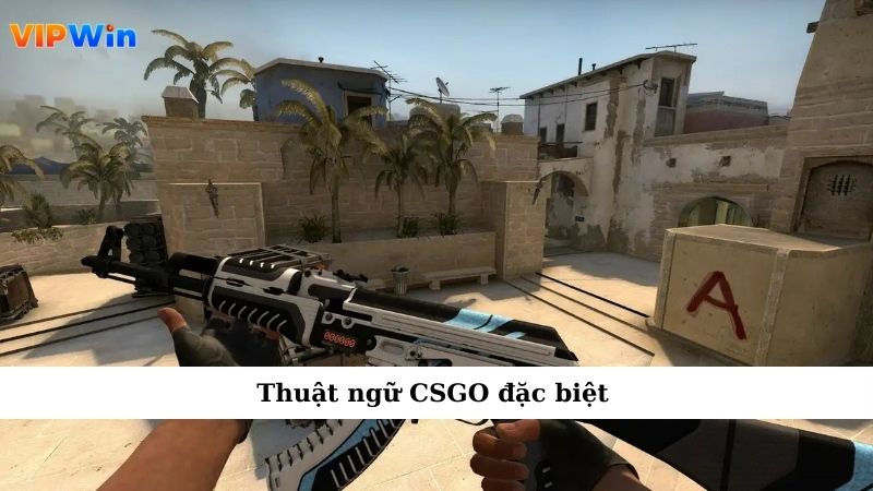 Thuật Ngữ CSGO Và Tầm Quan Trọng Trong Thế Giới Game 4 Thuật ngữ CSGO đặc biệt